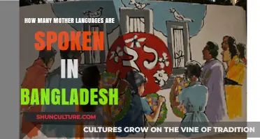 Exploring the Rich Linguistic Diversity of Mother Tongues in Bangladesh