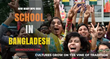 Exploring the Number of MPO High Schools Across Bangladesh