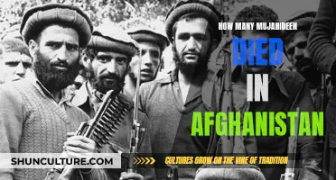 The Human Cost of Conflict: Remembering the Fallen Mujahideen in Afghanistan