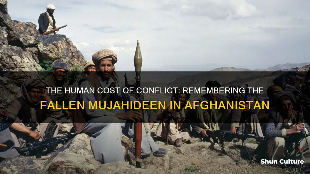 how many mujahideen died in afghanistan