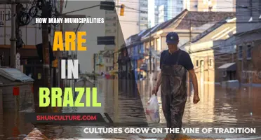 Exploring Brazil's Local Governance: A Comprehensive Count of Municipalities