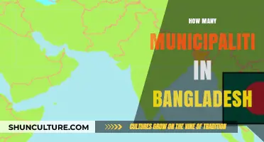 Exploring Bangladesh's Local Governance: Total Number of Municipalities Revealed