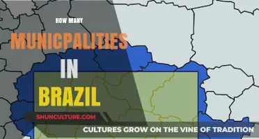 Exploring Brazil's Local Governance: Total Municipalities Revealed