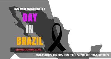 Daily Homicide Rates in Brazil: A Shocking Reality Revealed
