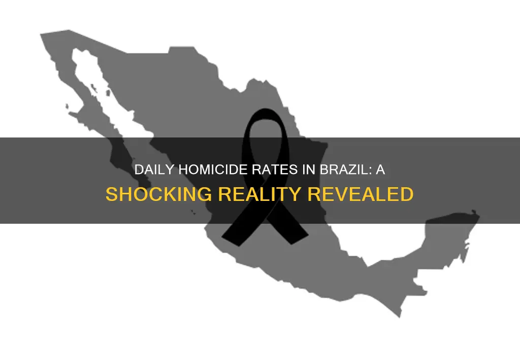 how many murder death a day in brazil