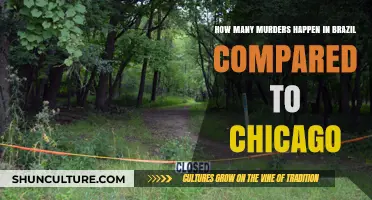Brazil vs. Chicago: Comparing Homicide Rates and Urban Safety