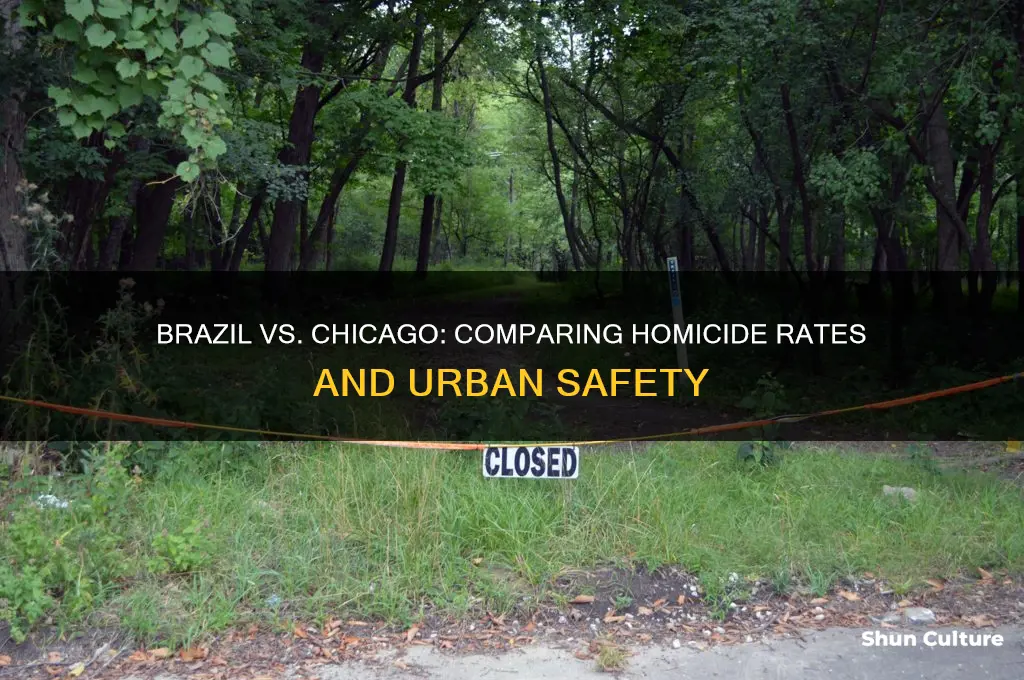 how many murders happen in brazil compared to chicago