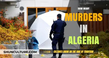 Algeria's Homicide Rate: Uncovering the Number of Murders Annually