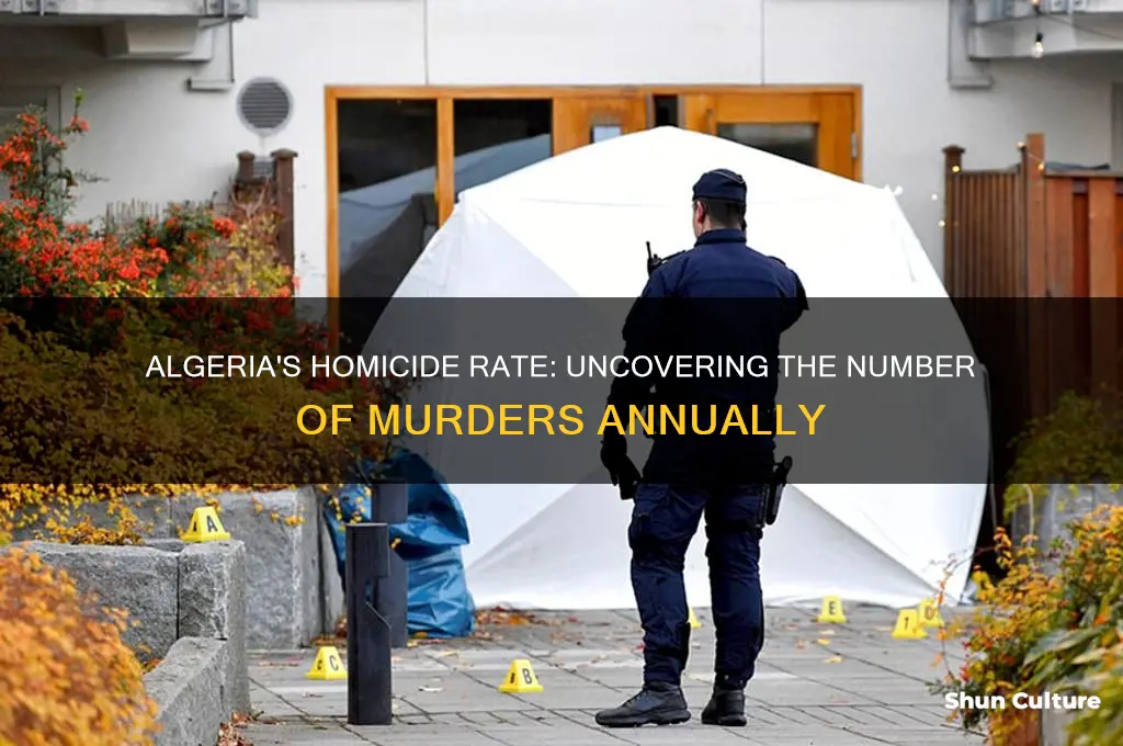 how many murders in algeria
