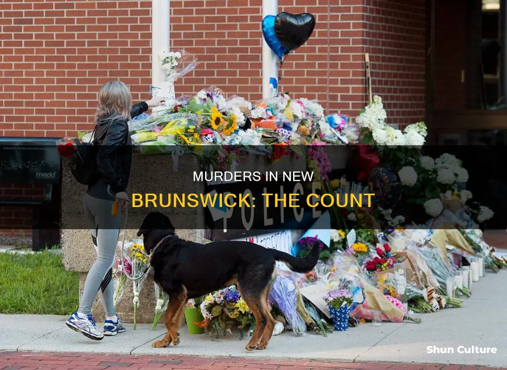 how many murders in new brunswick