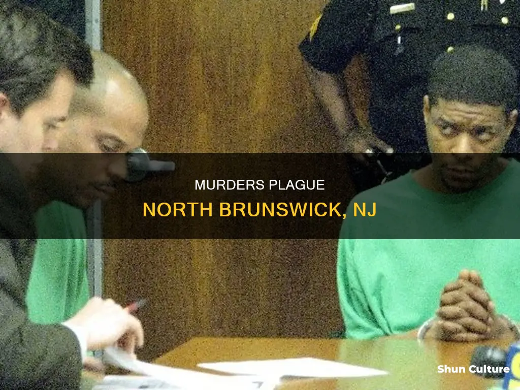 how many murders in north brunswick nj