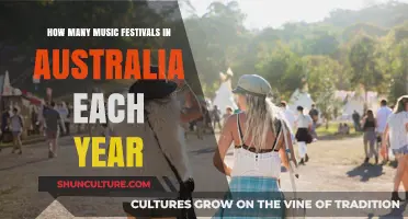 Exploring Australia's Annual Music Festival Scene: Count and Highlights