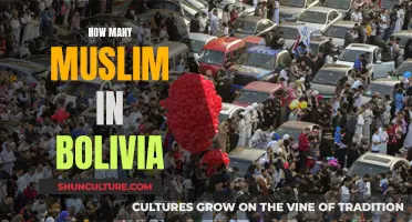 Muslims in Bolivia: A Small but Vibrant Community