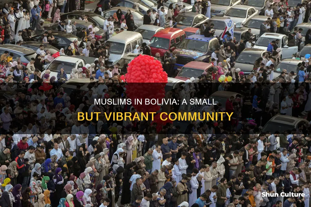 how many muslim in bolivia