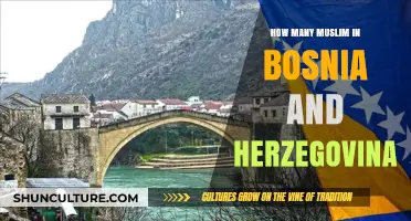 Bosnia and Herzegovina's Muslim Population: Size, History, and Cultural Impact