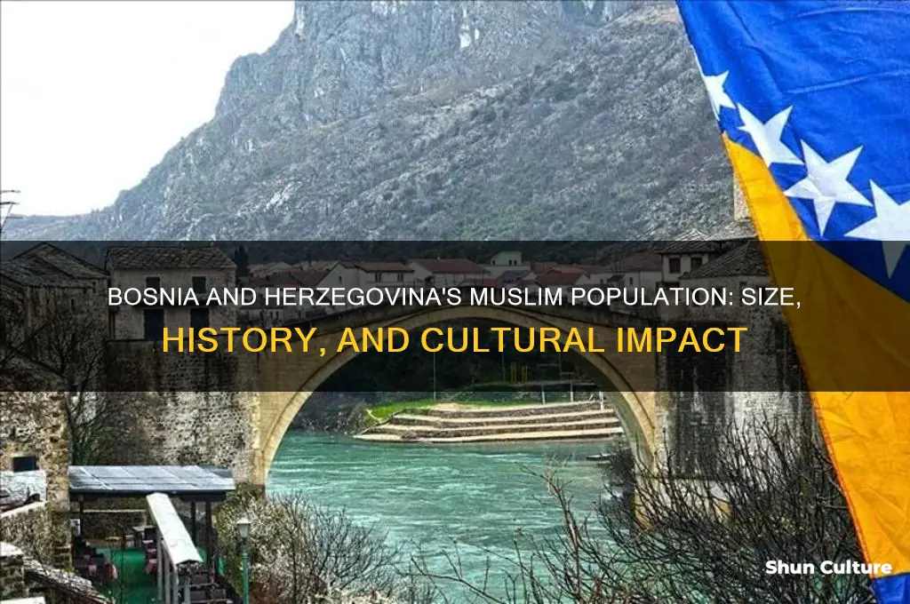how many muslim in bosnia and herzegovina