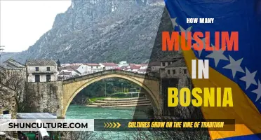 Bosnia’s Muslim Population: Understanding Demographics and Cultural Significance