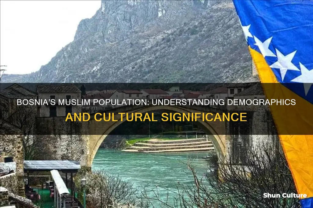 how many muslim in bosnia