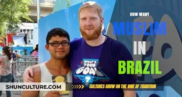 Exploring Brazil's Muslim Population: Size, Growth, and Cultural Impact