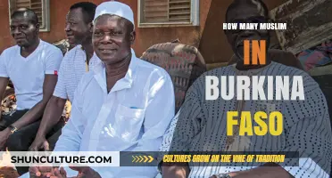 Exploring the Islamic Community in Burkina Faso: A Demographic Insight