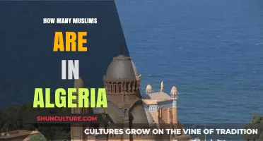Algeria's Muslim Population: Size, Demographics, and Cultural Impact