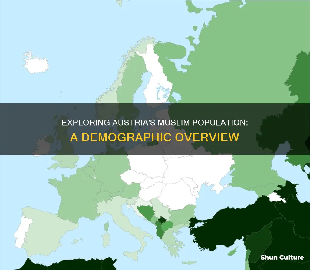 how many muslims are in austria