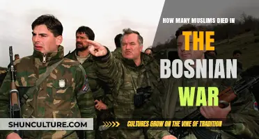 Bosnian War's Devastating Toll: Muslim Casualties and Legacy