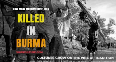 Tragic Toll: The Unfolding Crisis of Muslim Victims in Burma