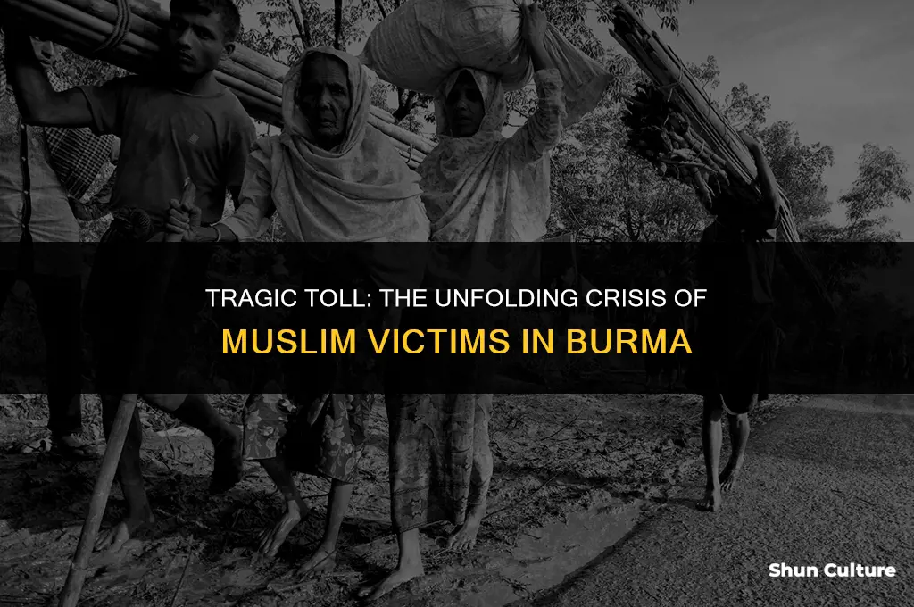 how many muslims have been killed in burma