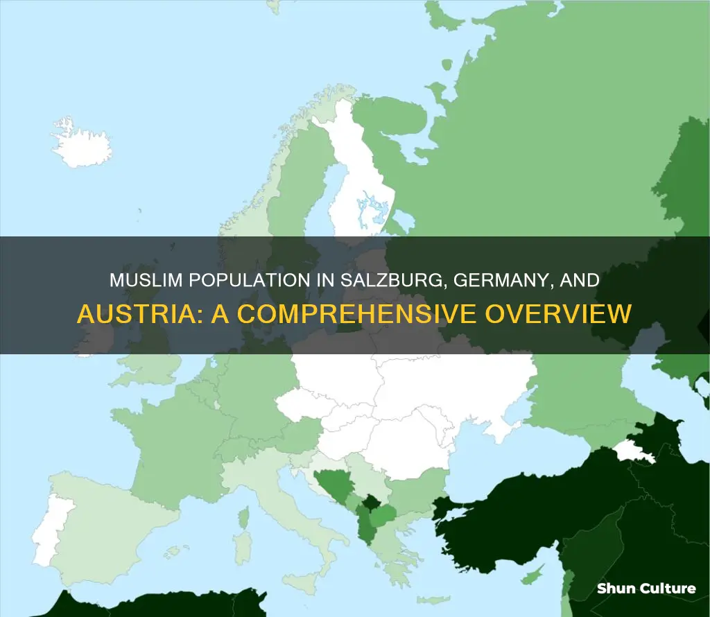 how many muslims in salzburg germany and austria