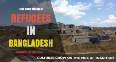Myanmar Refugees in Bangladesh: Current Numbers and Humanitarian Crisis