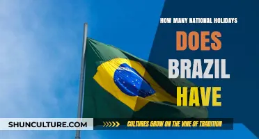 Exploring Brazil's National Holidays: A Comprehensive Count and Guide