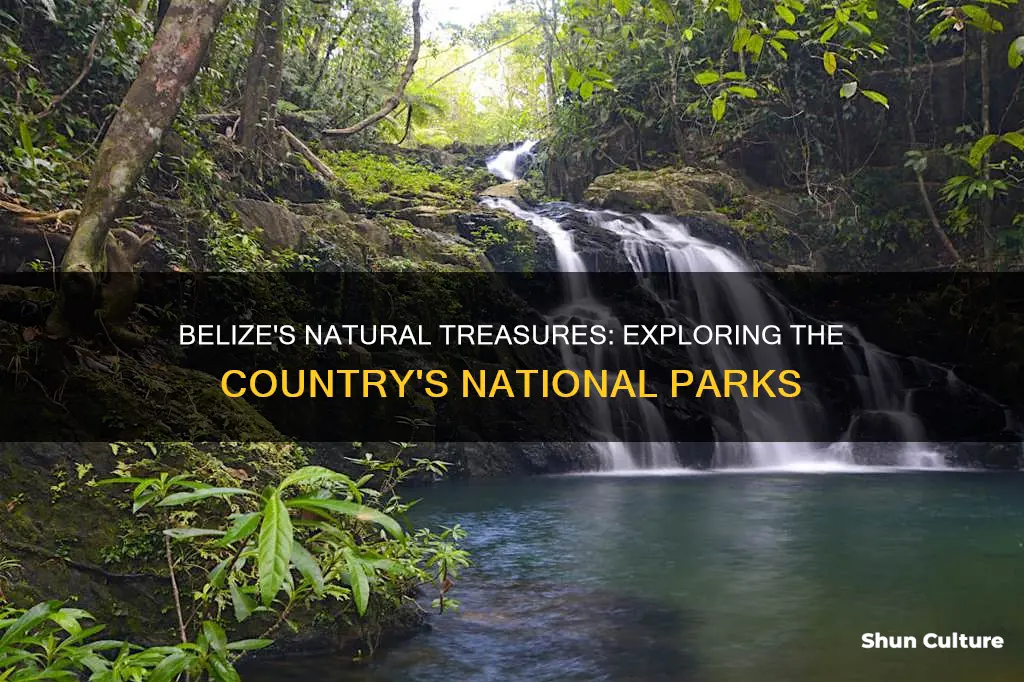 how many national parks are in belize