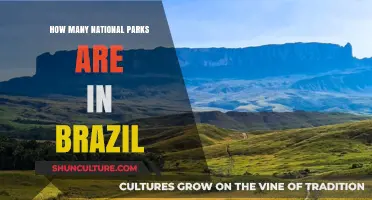 Exploring Brazil's National Parks: A Comprehensive Count and Guide