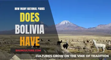 Exploring Bolivia's Natural Legacy: A Wealth of National Parks