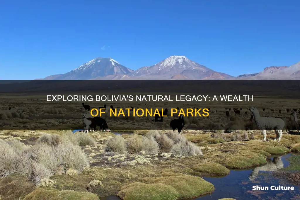 how many national parks does bolivia have