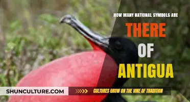 Exploring Antigua's National Symbols: A Comprehensive Guide to Their Significance