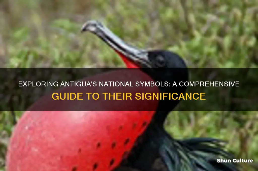 how many national symbols are there of antigua