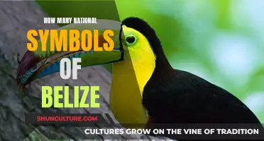 The Cultural Identity of Belize: Exploring the Nation's Symbols