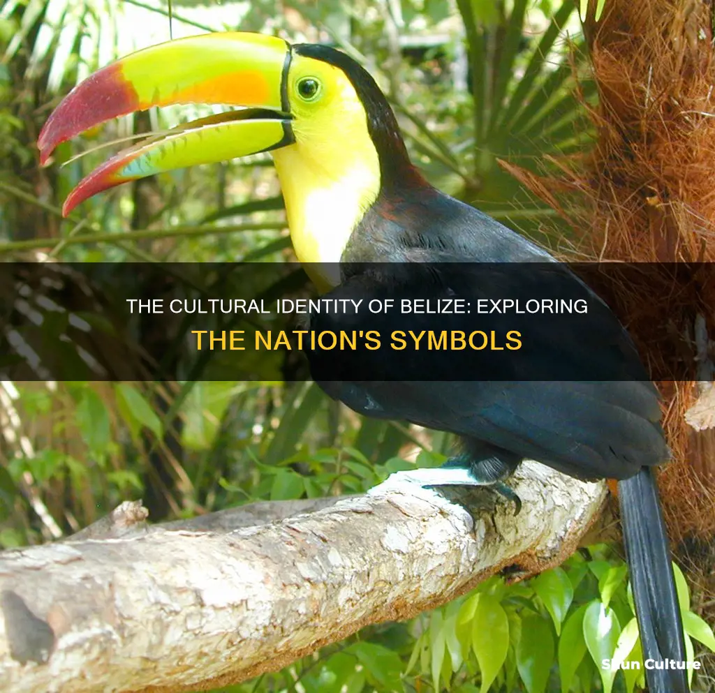 how many national symbols of belize