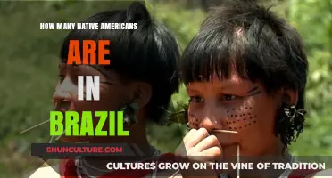 Exploring Brazil's Indigenous Population: Native American Presence and Culture