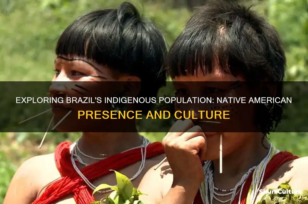 how many native americans are in brazil
