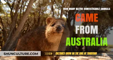 Exploring Australia's Unique Domesticated Animal Heritage