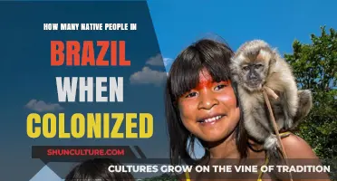 Brazil's Colonization: Unveiling the Native Population Before European Arrival
