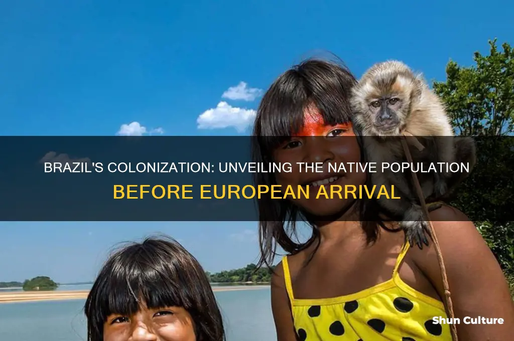 how many native people in brazil when colonized