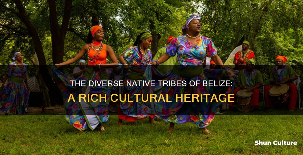 how many native tribes in belize