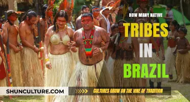 Exploring Brazil's Indigenous Diversity: Native Tribes and Their Rich Heritage