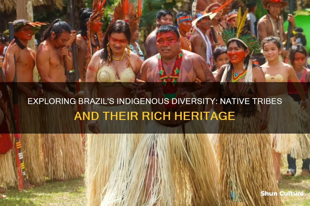 how many native tribes in brazil