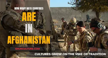 NATO's Enduring Presence in Afghanistan: Examining the Number of Member Countries Involved