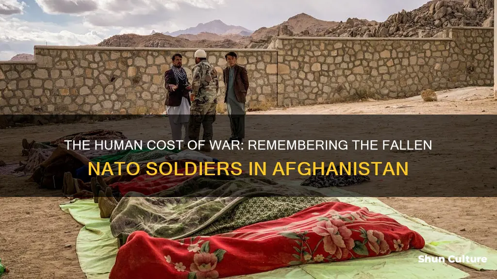 how many nato soldiers died in afghanistan war